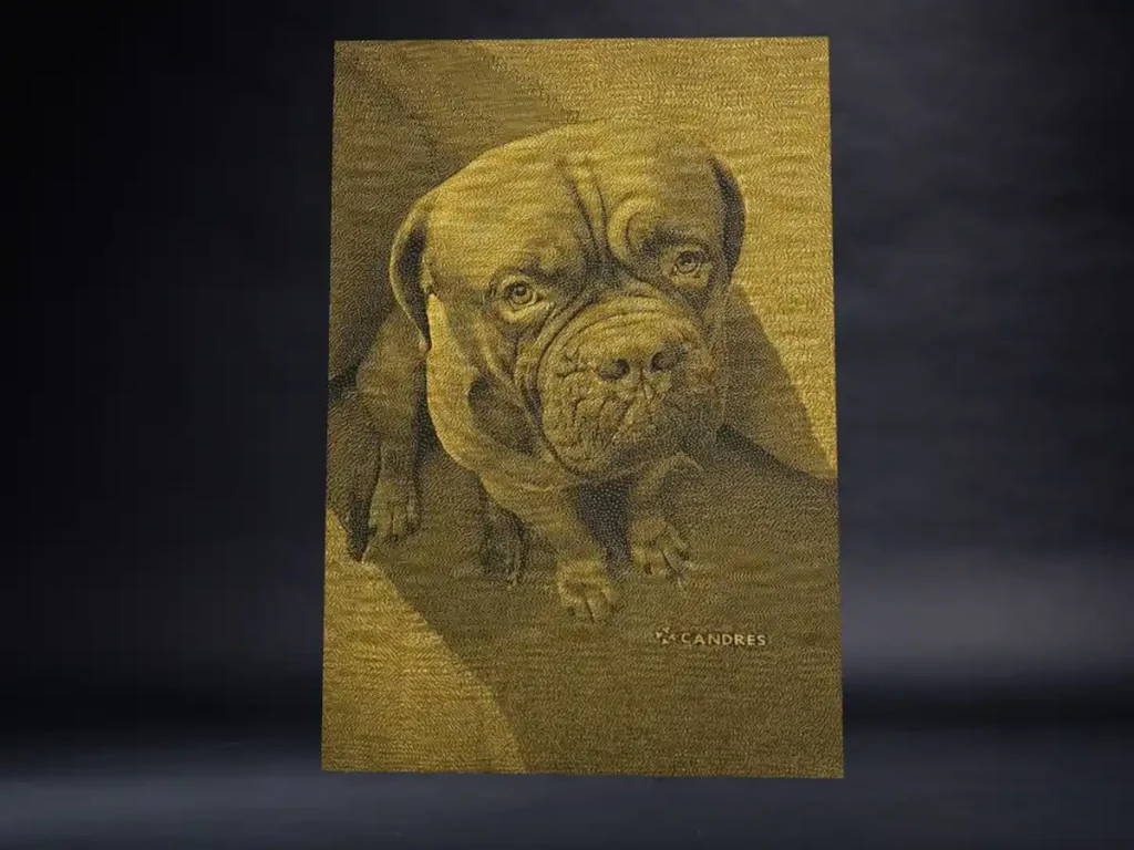 dog de bordeaux posato